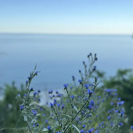 شقة Przystan Ikara *