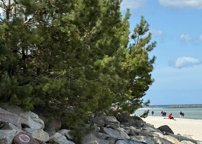 Przystan Ikara Apartman Gdynia