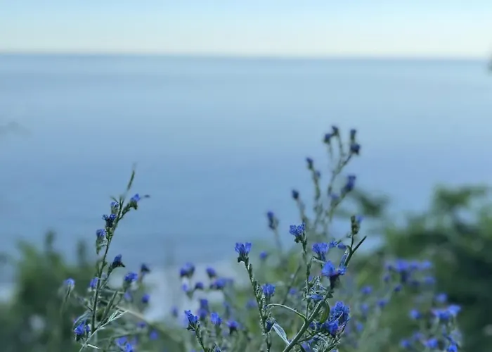 Apartman Przystan Ikara *